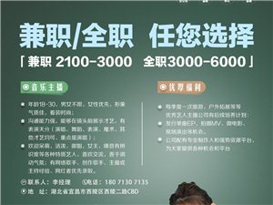 长阳最新招聘信息全面解析