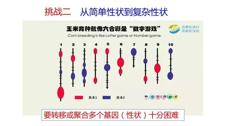 新澳门一码一肖一特一中2024高考,仿真技术方案实现_挑战版91.521