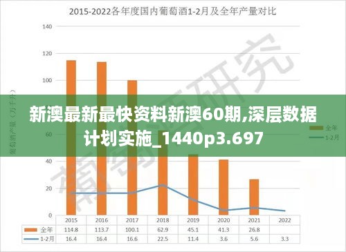 新澳2024年最新版资料,动态分析解释定义_bundle55.256