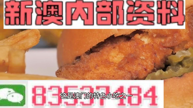 2024新澳精准正版资料,时代说明评估_动态版61.316