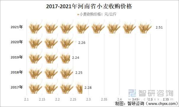 小麦最新收购价格动态解析